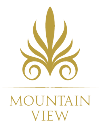 Real Estate Financing Company